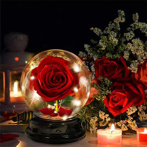 Eternal Flower Exclusive Rose in Glass Dome with Box and Lights Real Eternal Rose Preserved Rose Girl Women Valentines Day Gifts
