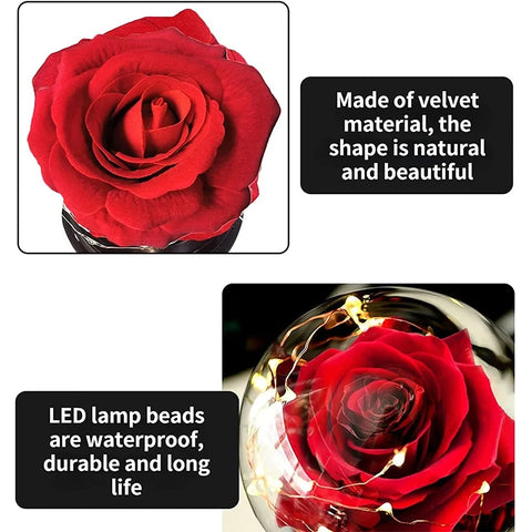 Eternal Flower Exclusive Rose in Glass Dome with Box and Lights Real Eternal Rose Preserved Rose Girl Women Valentines Day Gifts