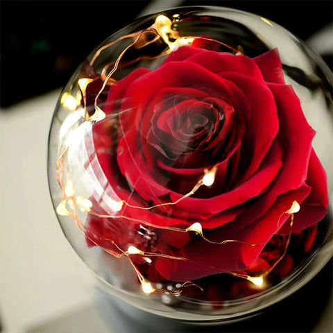 Eternal Flower Exclusive Rose in Glass Dome with Box and Lights Real Eternal Rose Preserved Rose Girl Women Valentines Day Gifts