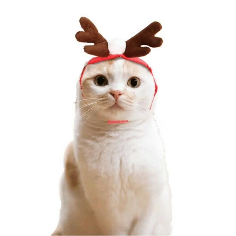 Christmas Pet Costume Accessories