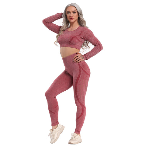 Yoga Set Seamless Leggings + Long Sleeve Shirts