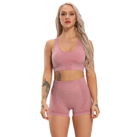 Sexy Seamless Yoga Set