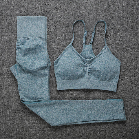 Seamless Yoga Set Leggings + Short Sleeve Shirts