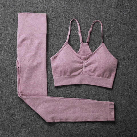 Seamless Yoga Set Leggings + Short Sleeve Shirts