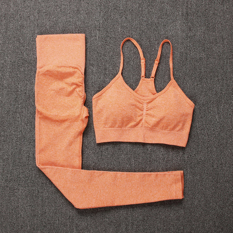 Seamless Yoga Set Leggings + Short Sleeve Shirts