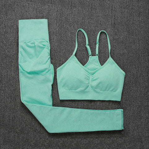 Seamless Yoga Set Leggings + Short Sleeve Shirts