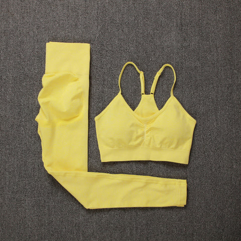 Seamless Yoga Set Leggings + Short Sleeve Shirts