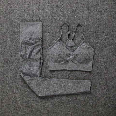 Seamless Yoga Set Leggings + Short Sleeve Shirts