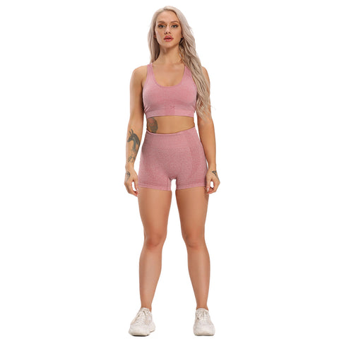 Women New Seamless Yoga Leggings + Long Sleeve Shirts