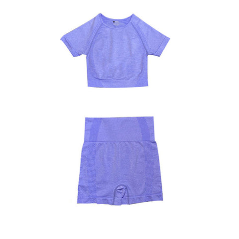 High Waist Yoga Shorts Crop Top T-shirts