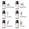 Pure Essential Oil 6-Bottle Sets, 10ml