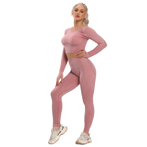 Gym Seamless Leggings + Short Sleeve Shirts