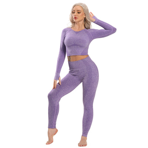 Gym Seamless Leggings + Short Sleeve Shirts