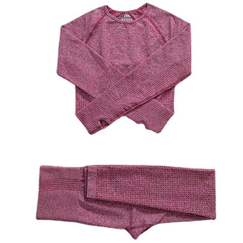 Gym Seamless Leggings + Short Sleeve Shirts