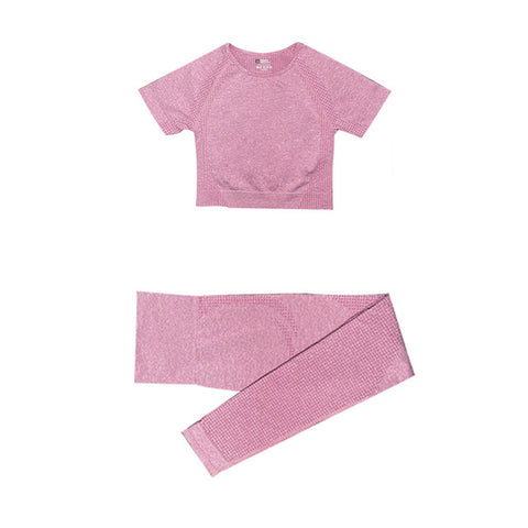 Gym Seamless Leggings + Short Sleeve Shirts