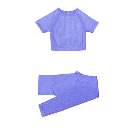 Gym Seamless Leggings + Short Sleeve Shirts