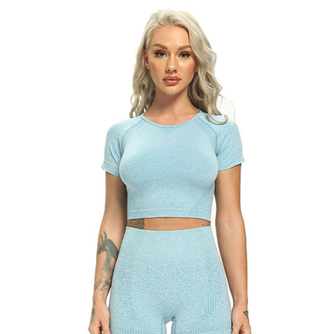 Gym Seamless Leggings + Short Sleeve Shirts